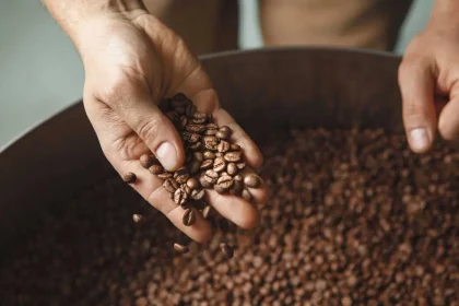 Grãos De Café/ Crédito: Ril21 (Shutterstock/Reprodução)
