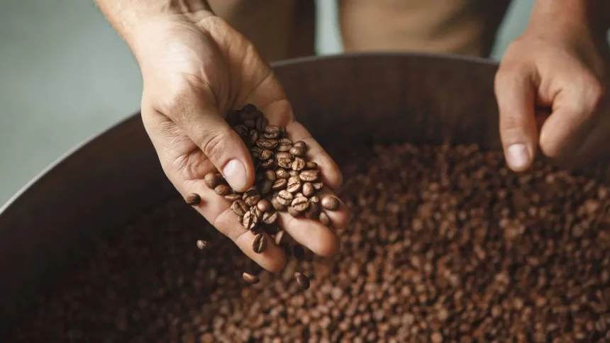 Grãos De Café/ Crédito: Ril21 (Shutterstock/Reprodução)