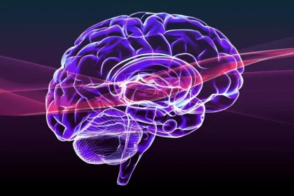 Imagem: Aga7Ta/Shutterstock