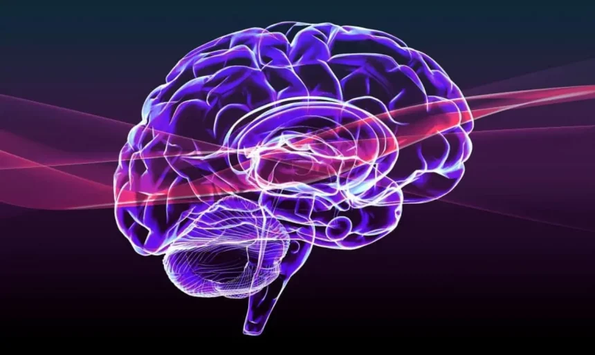 Imagem: Aga7Ta/Shutterstock