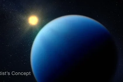 Concepção Artística De Como O Toi 421 B Deve Ser (Imagem: Nasa, Esa, Csa, Dani Player [Stsci])