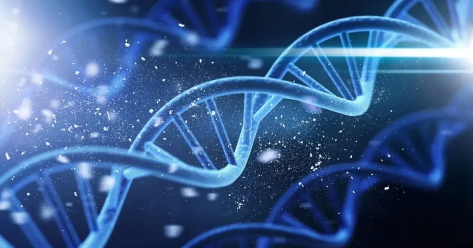 Análise De Dna Revelou Informações Sobre O Passado Destes Animais (Imagem: Billion Photos/Shutterstock)