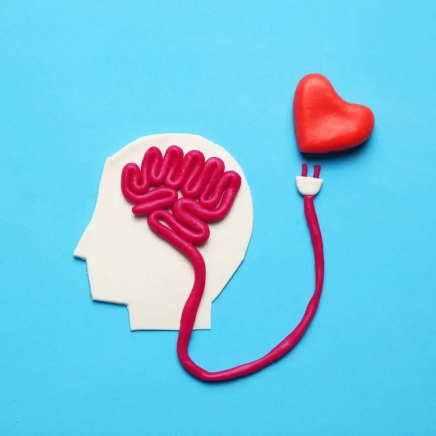 Imagem: Canetti/Shutterstock