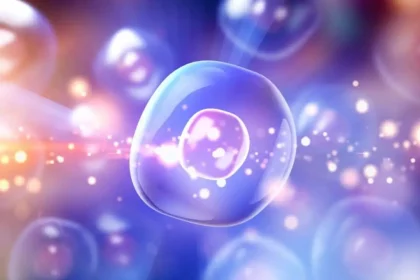 (Imagem: Vadim Sadovski/Shutterstock)