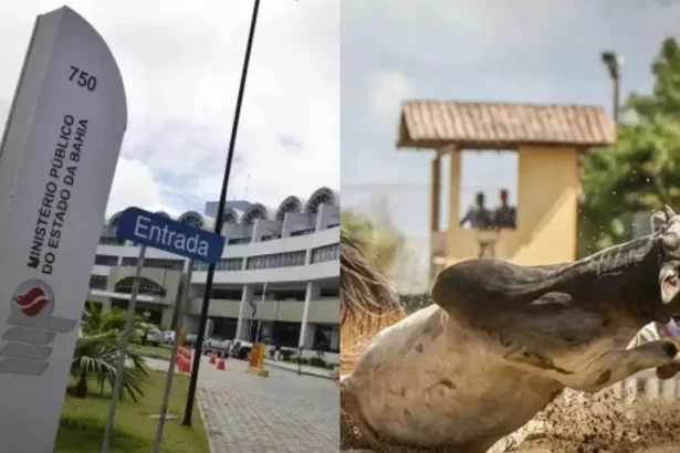 Foto: Bahia Notícias