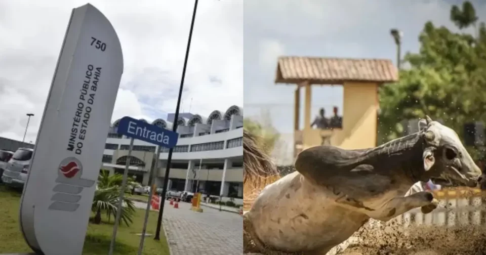 Foto: Bahia Notícias