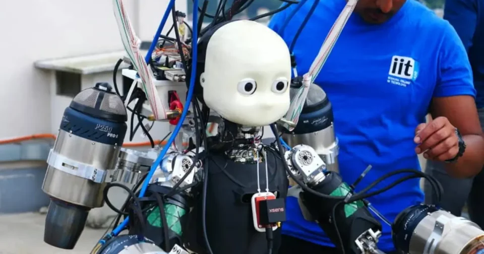 Imagem: Divulgação/Instituto Italiano De Tecnologia