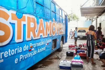 Foto: Imagem Ilustrativa. Bruno Concha / Secom Pms