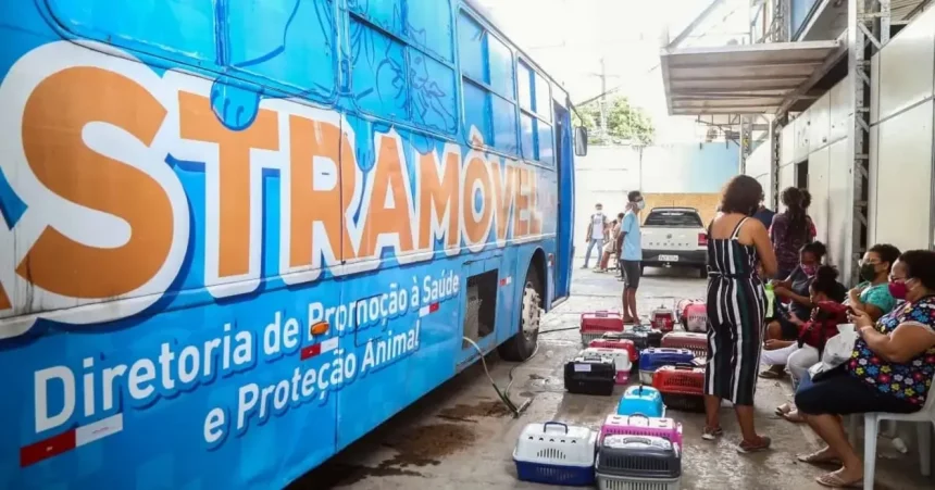 Foto: Imagem Ilustrativa. Bruno Concha / Secom Pms