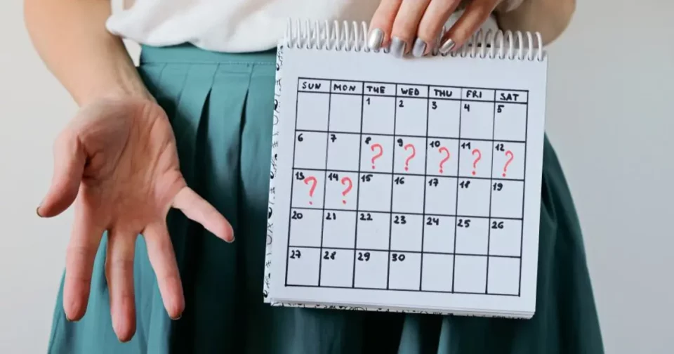 Arte Sobre Ciclo Menstrual - Imagem: Macrovector/Shutterstock