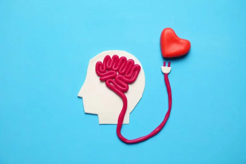 Imagem: 4 Pm Production / Shutterstock