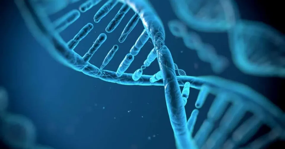 Dados Foram Inseridos Usando Lasers Ultrarrápidos Com Precisão (Imagem: Universidade De Southampton)
