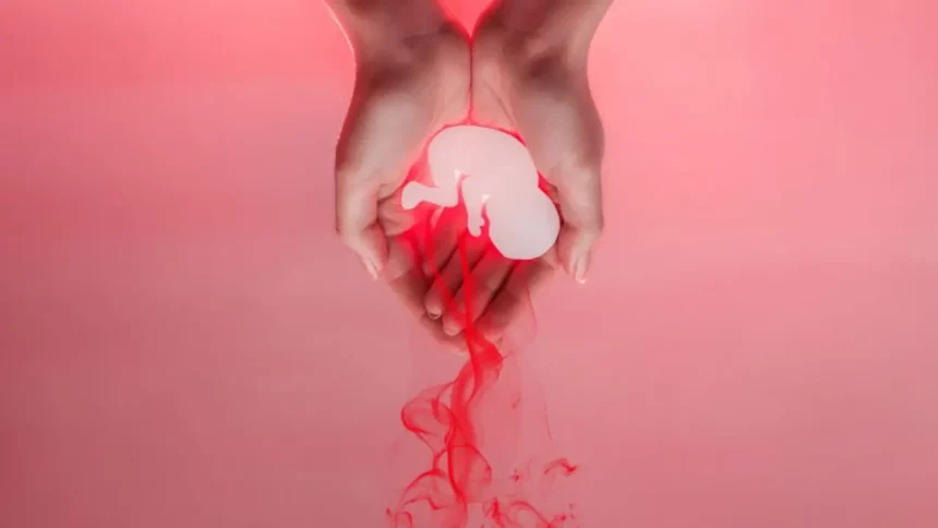 O Preparo Físico E Emocional Antes De Uma Nova Gravidez É Essencial Para A Saúde Da Mãe E Do Bebê/Shutterstock_Raushan_Films