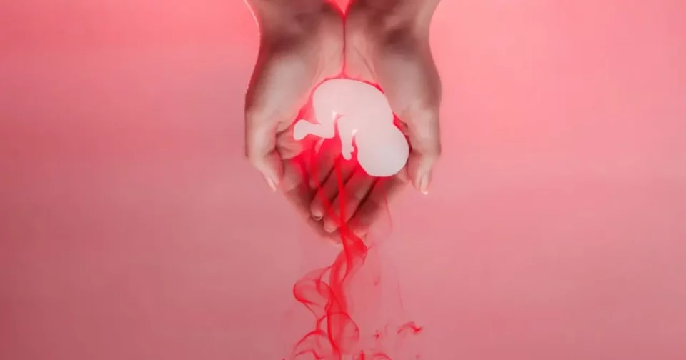 O Preparo Físico E Emocional Antes De Uma Nova Gravidez É Essencial Para A Saúde Da Mãe E Do Bebê/Shutterstock_Raushan_Films