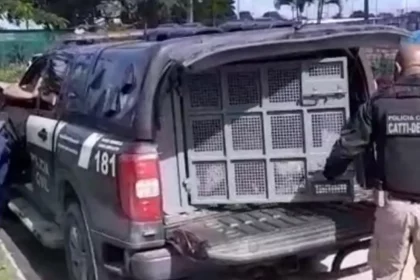 Foto: Divulgação / Polícia Civil