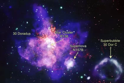 Lindo &Quot;Buquê De Estrelas&Quot; Na Nebulosa Da Tarântula. Crédito: Raio-X: Nasa / Cxc / Penn State Univ. / L. Townsley Et Al.; Infravermelho: Nasa / Jpl-Caltech / Sst; Óptico: Nasa / Stsci / Hst; Rádio: Eso/Naoj/Nrao/Alma; Processamento De Imagem: Nasa/Cxc/Sao/J. Schmidt, N. Wolk, K. Arcand
