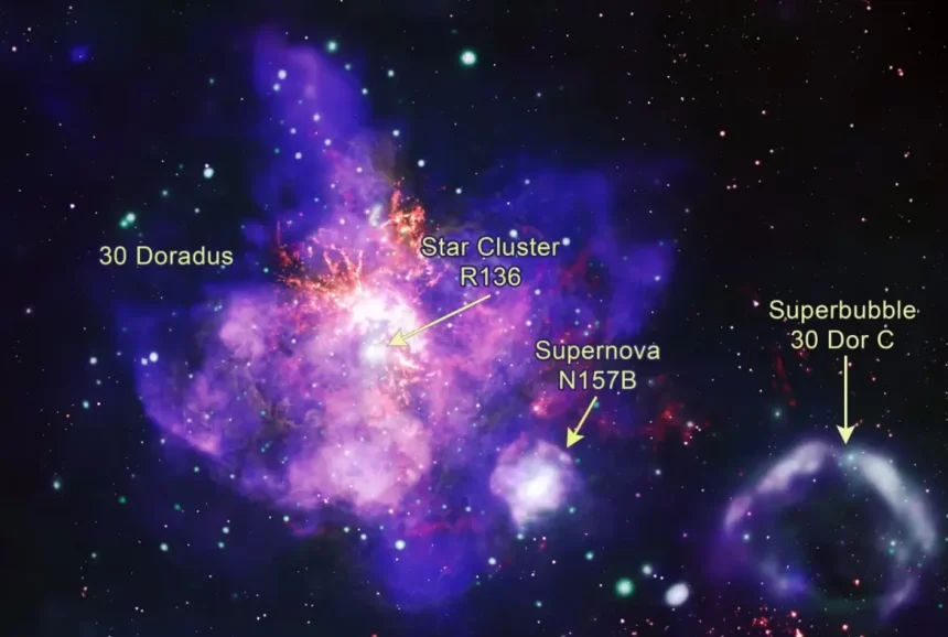 Lindo &Quot;Buquê De Estrelas&Quot; Na Nebulosa Da Tarântula. Crédito: Raio-X: Nasa / Cxc / Penn State Univ. / L. Townsley Et Al.; Infravermelho: Nasa / Jpl-Caltech / Sst; Óptico: Nasa / Stsci / Hst; Rádio: Eso/Naoj/Nrao/Alma; Processamento De Imagem: Nasa/Cxc/Sao/J. Schmidt, N. Wolk, K. Arcand