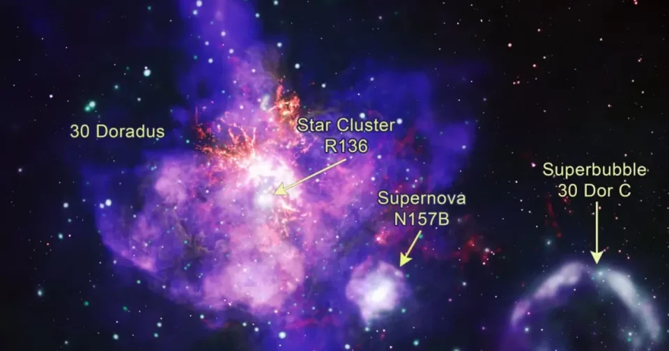 Lindo &Quot;Buquê De Estrelas&Quot; Na Nebulosa Da Tarântula. Crédito: Raio-X: Nasa / Cxc / Penn State Univ. / L. Townsley Et Al.; Infravermelho: Nasa / Jpl-Caltech / Sst; Óptico: Nasa / Stsci / Hst; Rádio: Eso/Naoj/Nrao/Alma; Processamento De Imagem: Nasa/Cxc/Sao/J. Schmidt, N. Wolk, K. Arcand