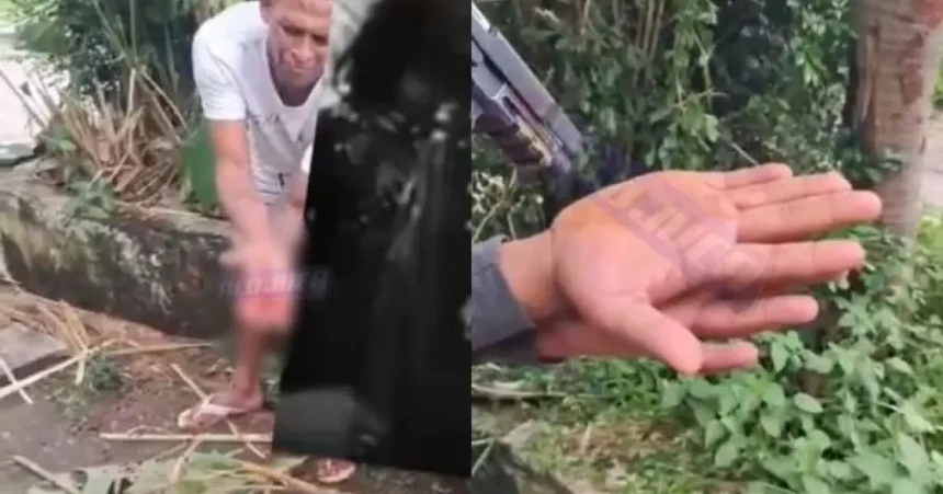 Foto: Reprodução / Alô Juca