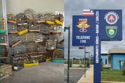 Foto: Reprodução / Cippa - Lençóis