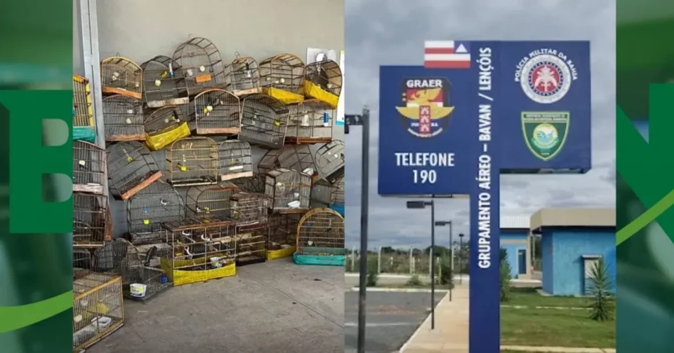 Foto: Reprodução / Cippa - Lençóis
