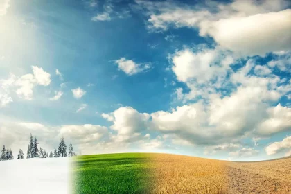 (Imagem: Honza Krej / Shutterstock.com)