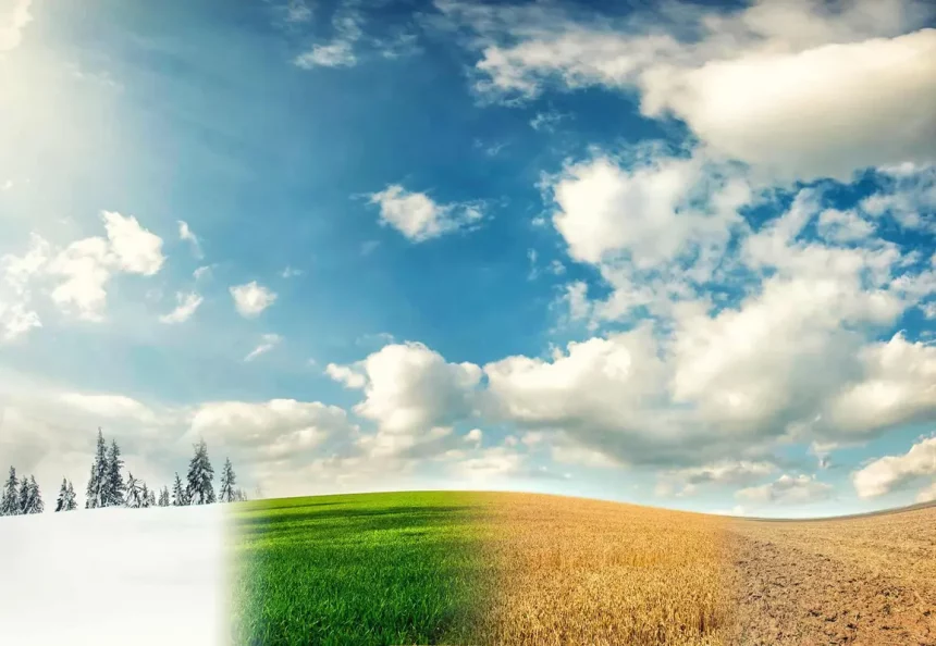 (Imagem: Honza Krej / Shutterstock.com)