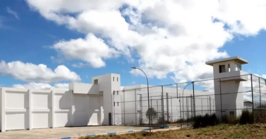 Foto: Reprodução / Radar News