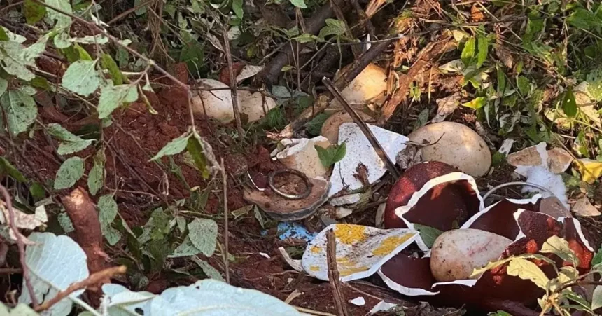 Foto: Reprodução / Redes Sociais