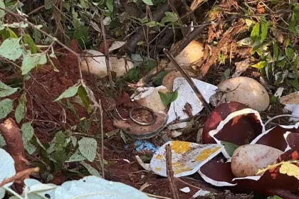 Foto: Reprodução / Redes Sociais