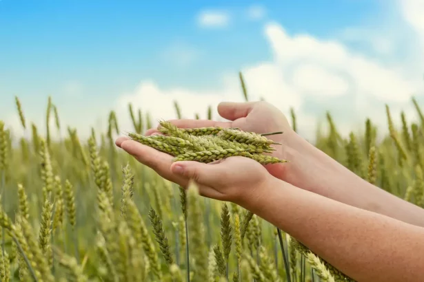 Há Previsão De Recordes No Novo Ciclo (Imagem: Stock Video Footage/Shutterstock)