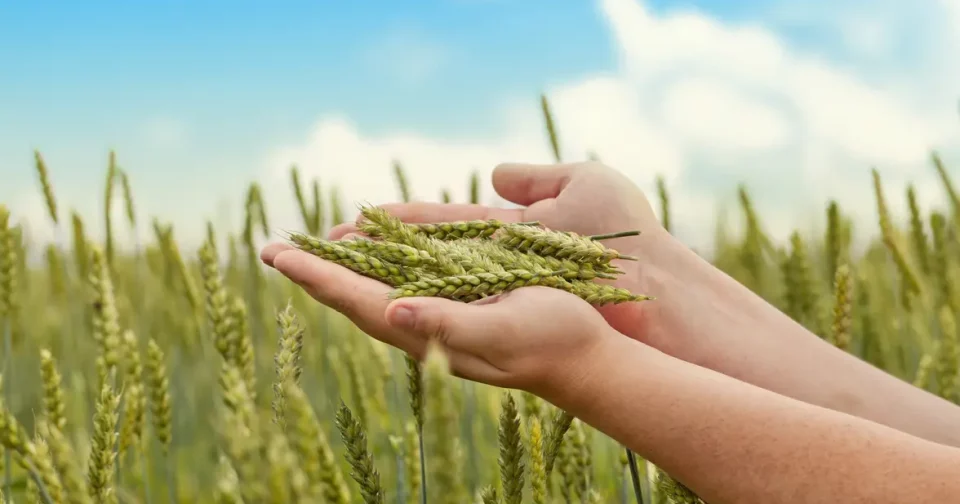 Há Previsão De Recordes No Novo Ciclo (Imagem: Stock Video Footage/Shutterstock)