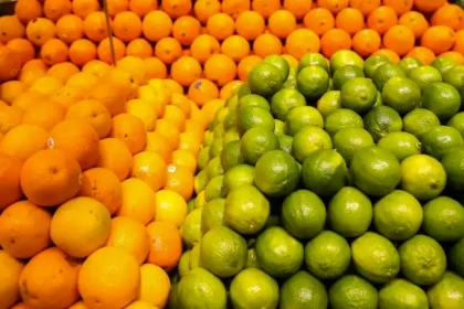 Foto: Valter Campanato / Agência Brasil