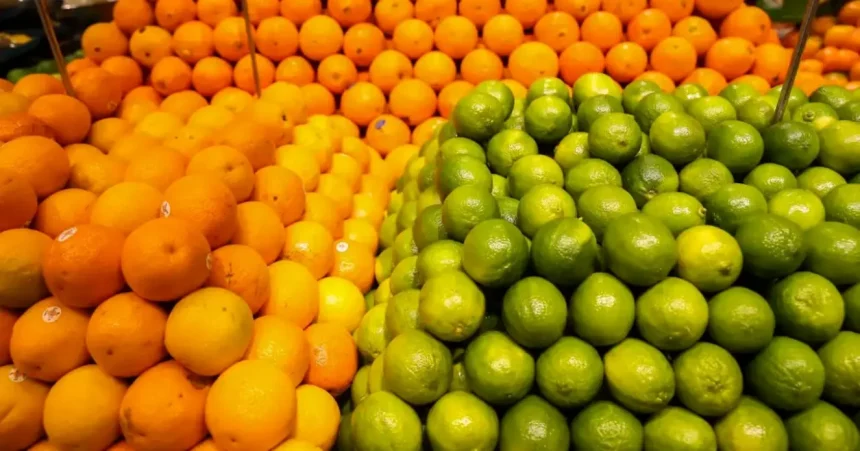 Foto: Valter Campanato / Agência Brasil