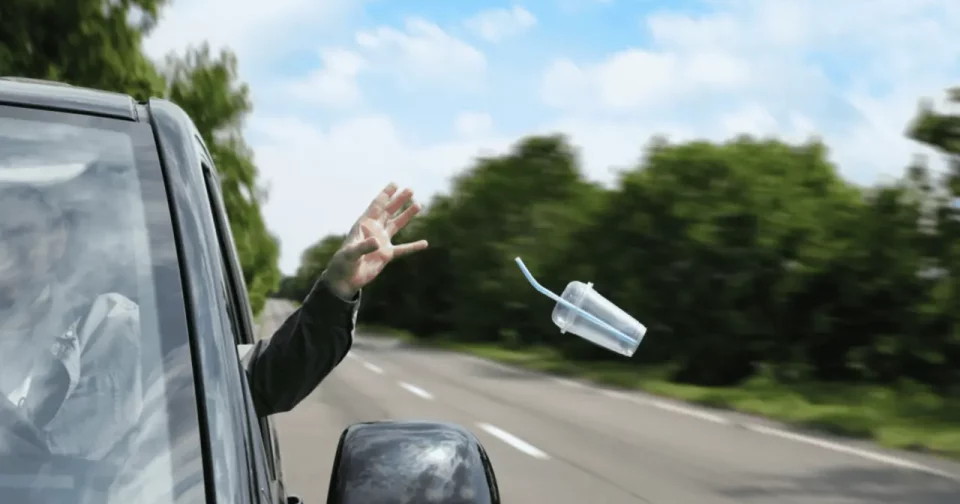 Pessoa Jogando Lixo Para Fora Do Carro - Imagem: New Africa/Shutterstock