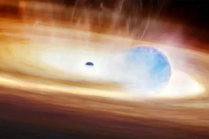 A Inteligência Artificial Ajudou Astrônomos A Observar O Que Pode Ser O Primeiro Caso Conhecido De Uma Estrela Explodindo Ao Interagir Com Um Buraco Negro. Crédito Da Imagem: Melissa Weiss/Cfa