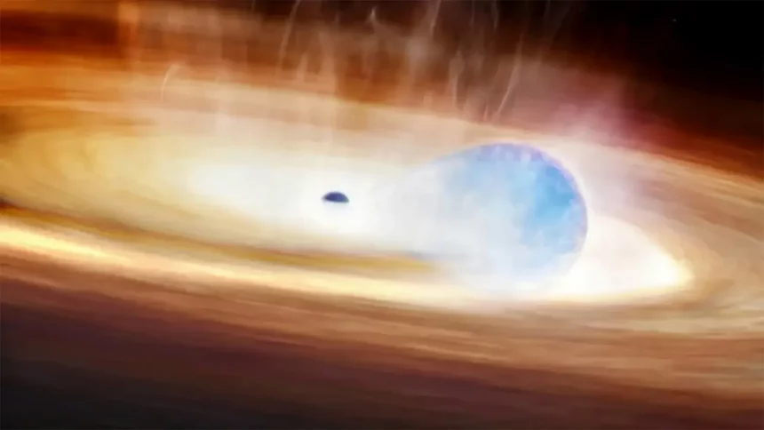 A Inteligência Artificial Ajudou Astrônomos A Observar O Que Pode Ser O Primeiro Caso Conhecido De Uma Estrela Explodindo Ao Interagir Com Um Buraco Negro. Crédito Da Imagem: Melissa Weiss/Cfa