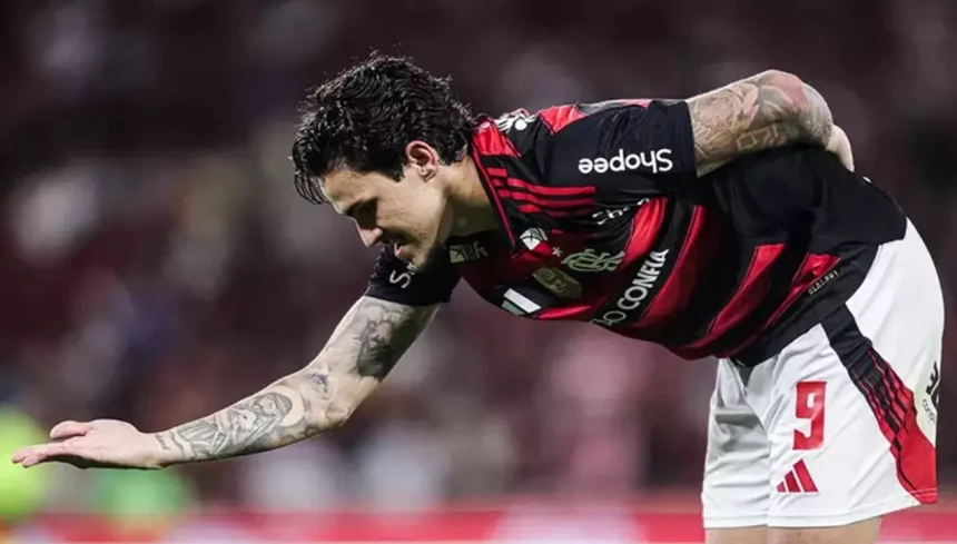 Foto: Gilvan De Souza/Flamengo