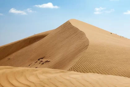Brasileiros Criam Método Para Calcular Força Que Atua Sobre Grãos De Areia Em Dunas. Crédito: Daniel Prudek - Shutterstock