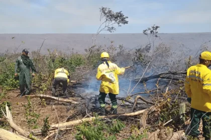 Brigadistas Florestais Em Atuação (Imagem: Semarh/Divulgação)