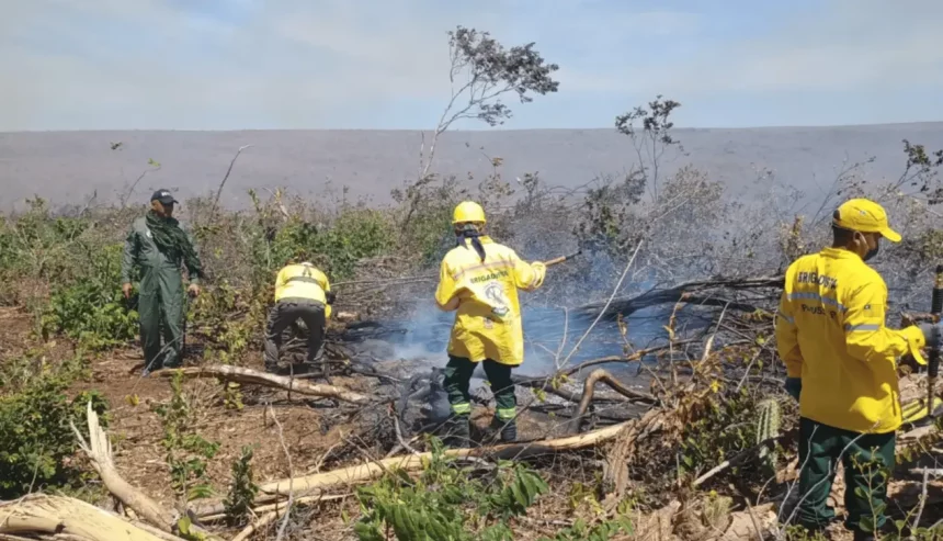 Brigadistas Florestais Em Atuação (Imagem: Semarh/Divulgação)