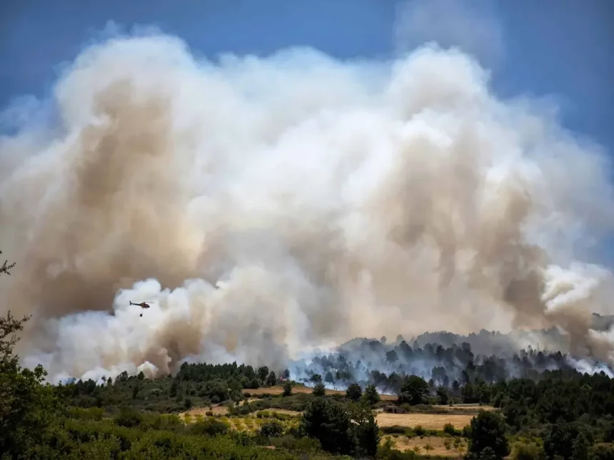 Em Solo Português, O Fogo Já Consumiu Uma Área De 2,3 Mil Km² (Imagem: Lone Wolf7/Shutterstock)