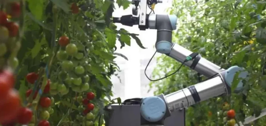 Geair Promete Ser Tão Eficiente Quanto Os Humanos, Mas Sem Parar Para Descanso (Imagem: Divulgação/Igbd)