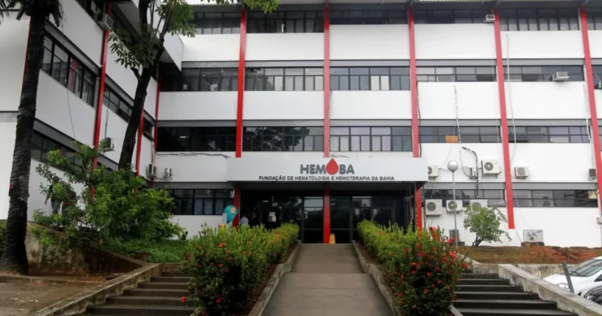 Foto: Reprodução / Hemoba