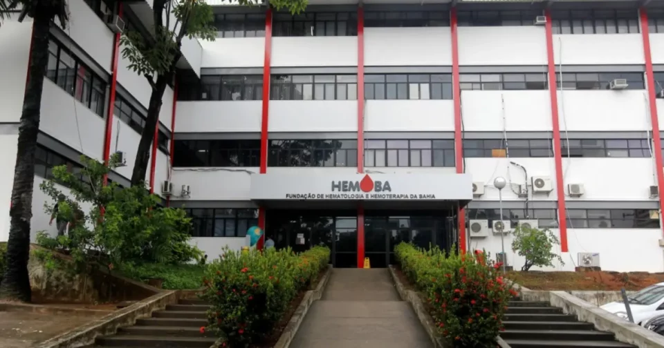 Foto: Reprodução / Hemoba