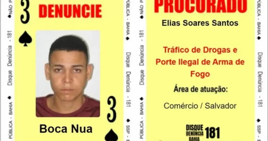 Foto: Reprodução
