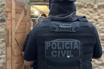Foto: Divulgação / Polícia Civil