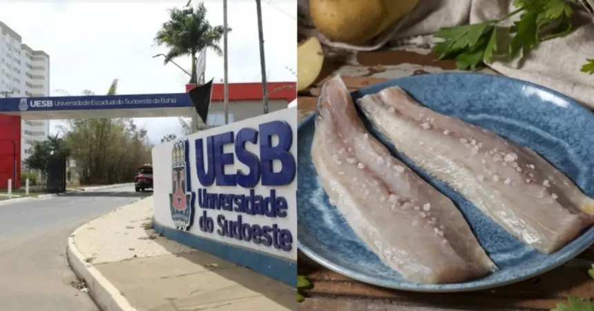 Fotos: Reprodução / Ascom - Uesb