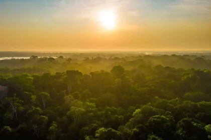 Profissional Faz Alerta Que Envolve Os Gases De Efeito Estufa Que Produzimos (Imagem: Photo Spirit/Shutterstock)
