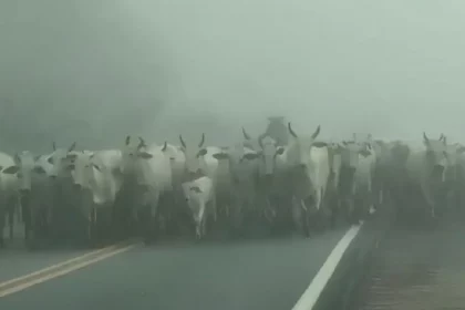Foto: Reprodução / Radar News